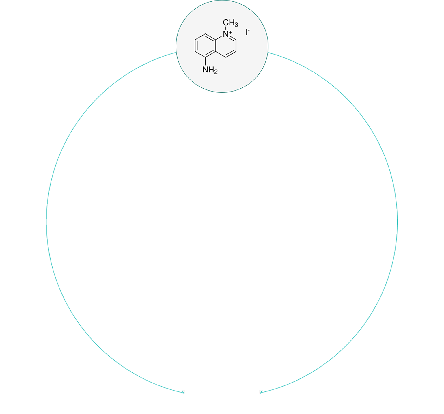 circle-image-1