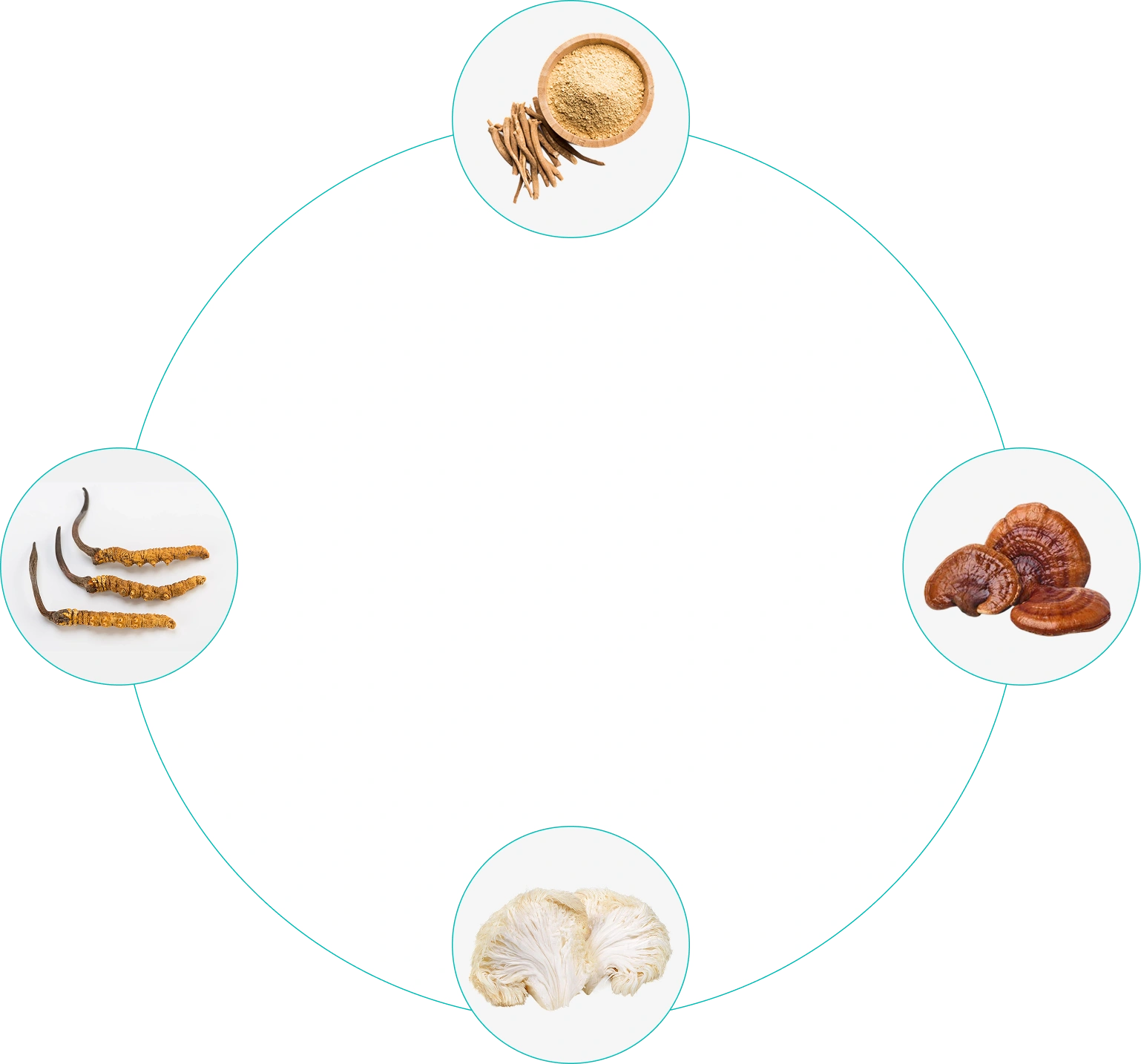circle-image-1