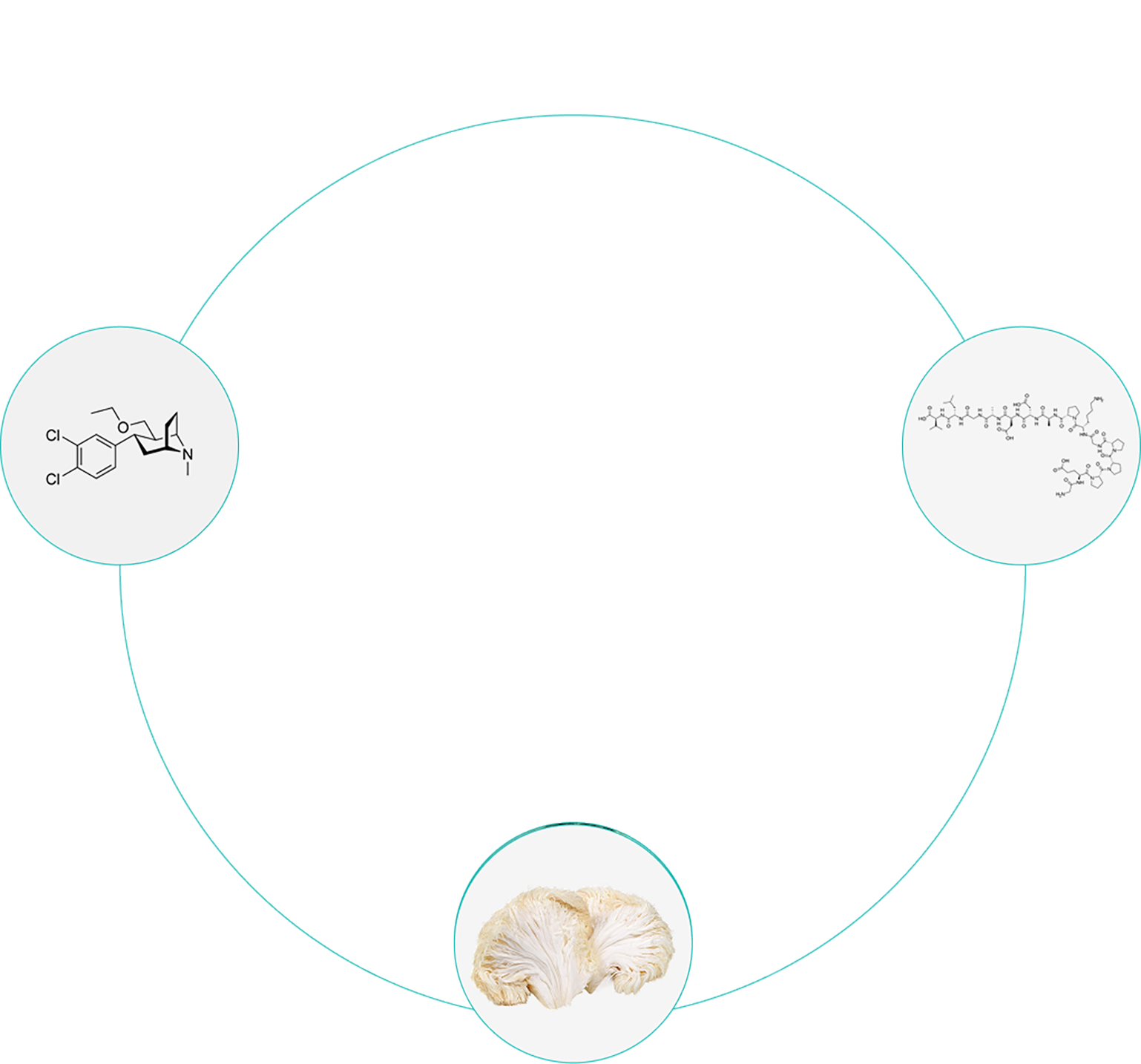 circle-image-1