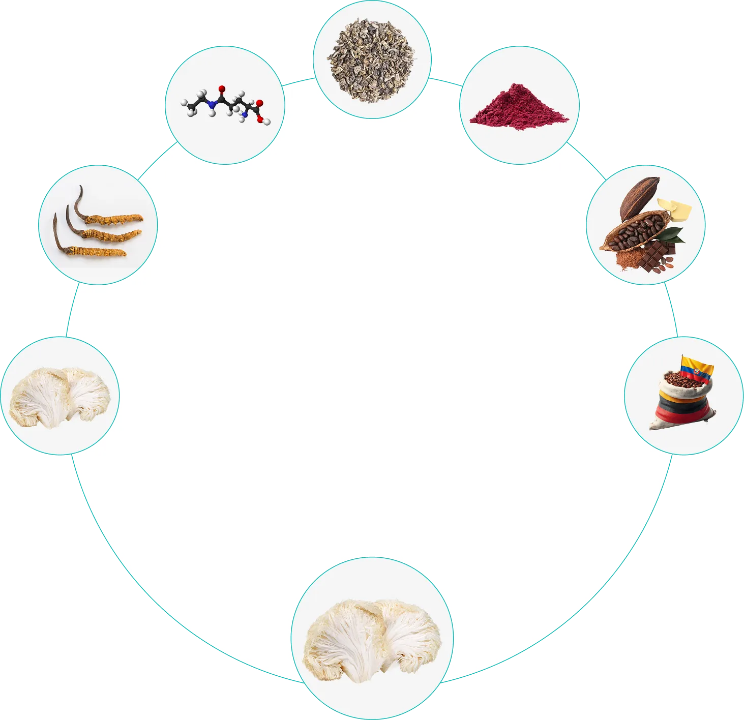circle-image-1