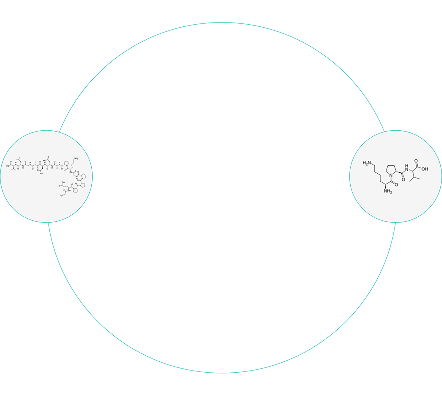 circle-image-1