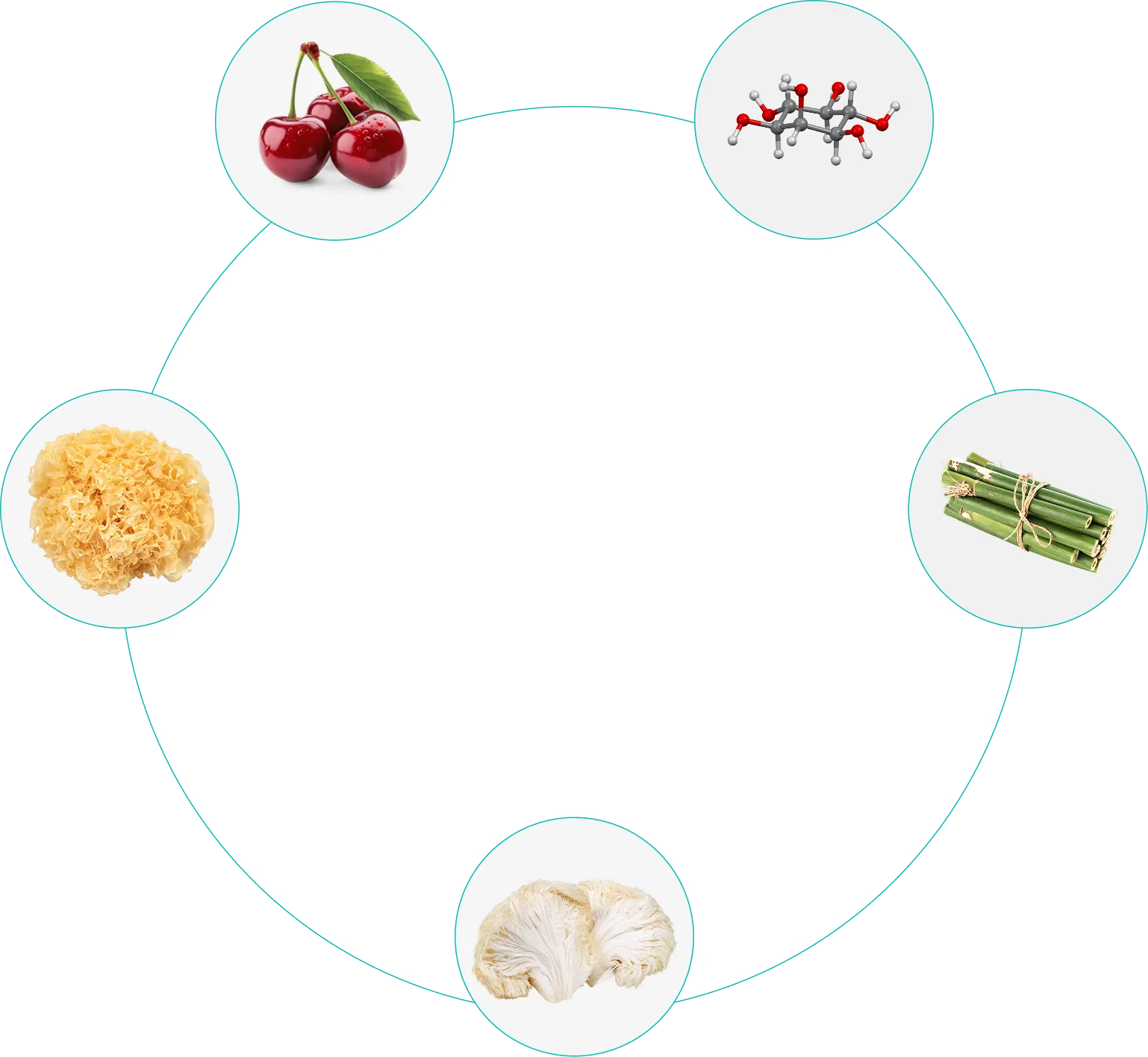 circle-image-1
