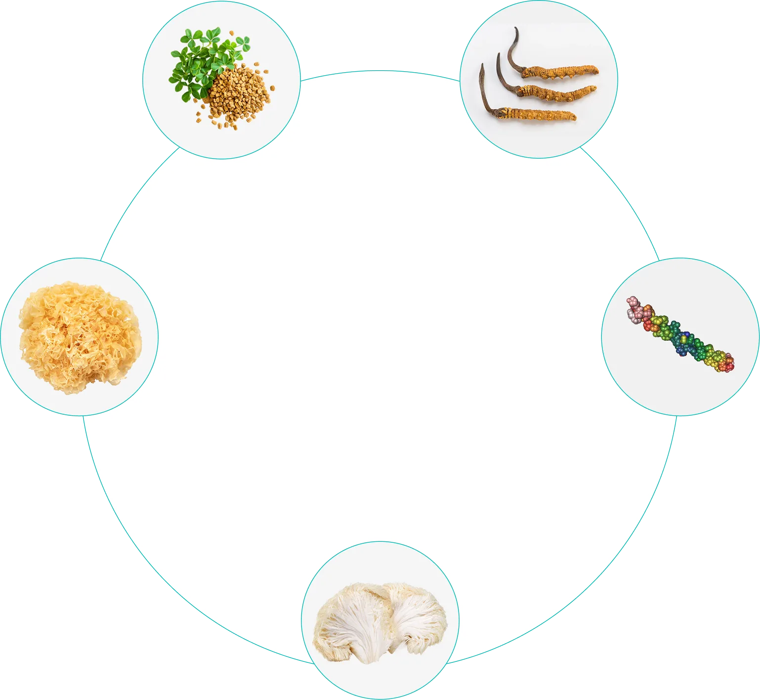 circle-image-1