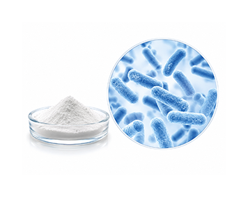 Bacillus subtilis